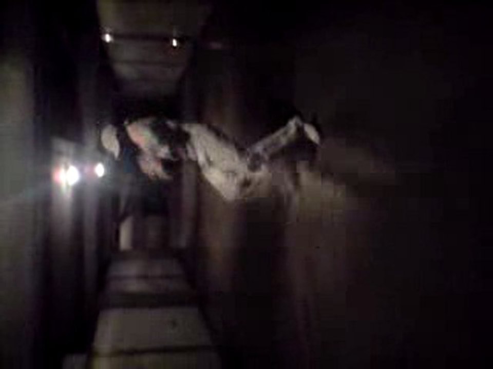 logobie Brasco   MoskOo SikOo Spirou