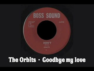 The Orbits - Goodbye my love