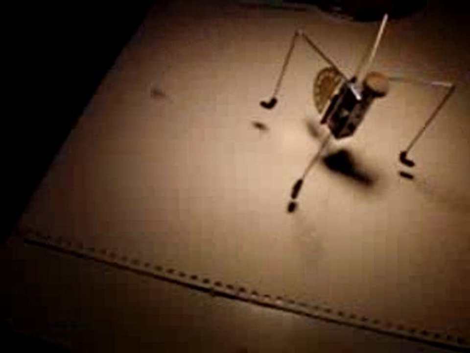 Chute