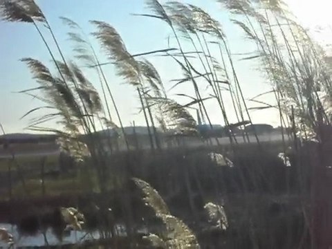 A319 waiting and Take-Off