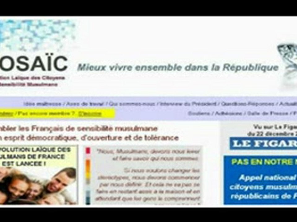 LLP Lagarde, Woerthe et la mascarade Mosaic  25 XII 2009