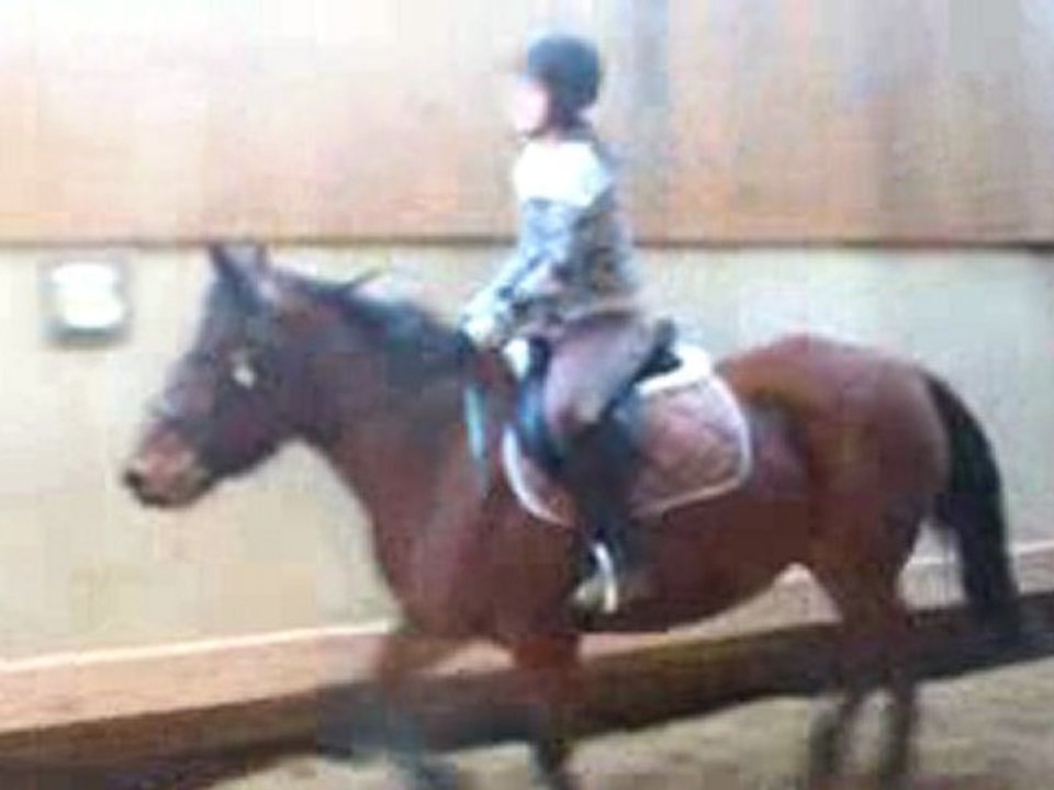 saut à cheval