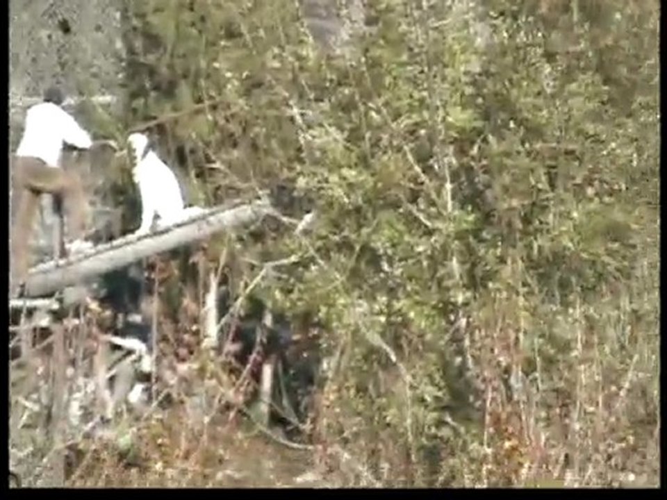 chasse au pays basque la palombe