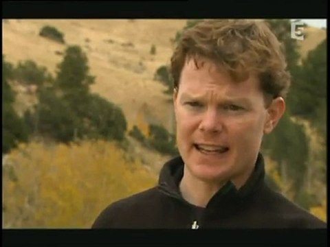 predateurs de la prehistoire les loups d'autrefois 2