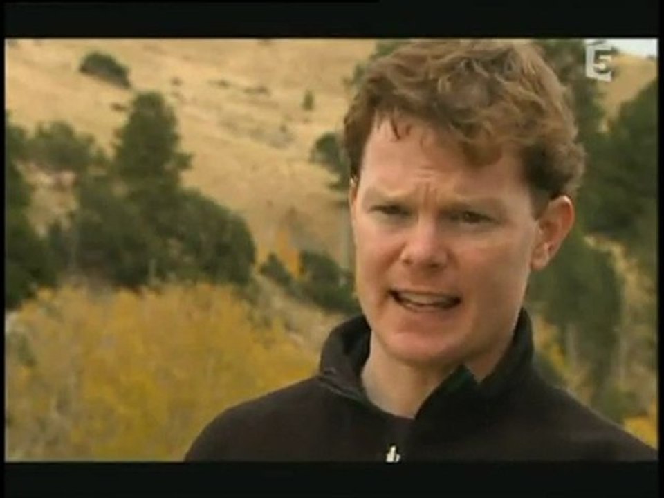 predateurs de la prehistoire les loups d'autrefois 2