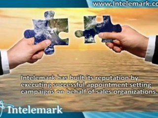 Intelemark | B2B Appointment Setting