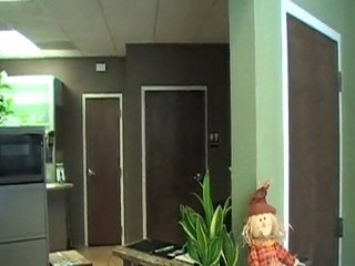 Charlotte Business Park Office Leases Virtual Executive Sui