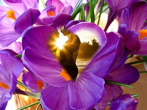 Happy New Year 2010 Neil Diamond -I Believe in Happy Endings