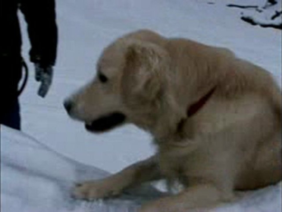 Neujahrsmorgen im Schnee