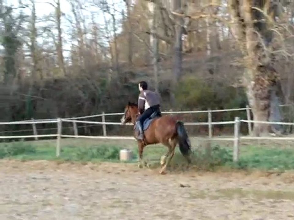 Rykiel, 25-12-09