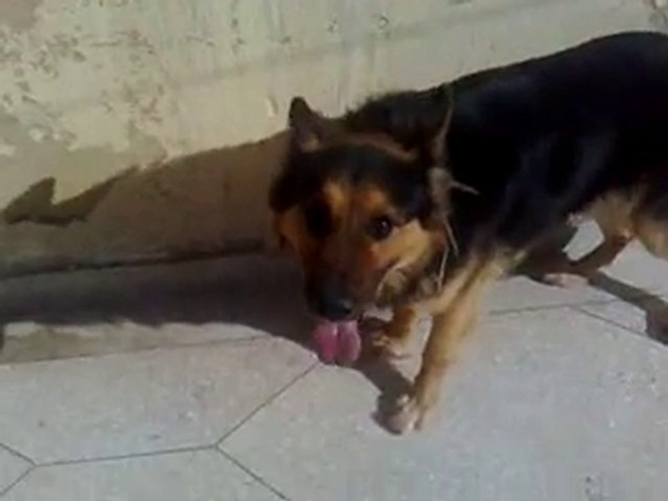 Léo_Clip_Morocco