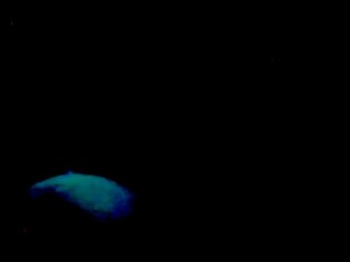 Nemo submarine "disneyland ca"