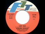 70s boogie/disco music - Bumblebee Unlimited - Lady Bug 1978