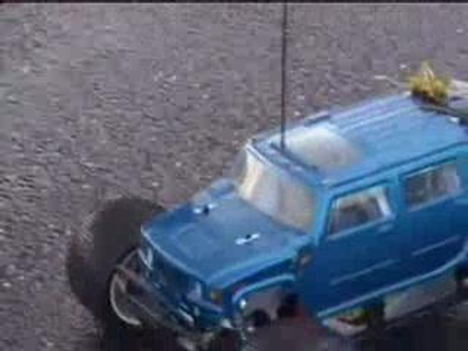 HPI Savage BL Plettenberg 19.2V