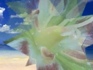 Dla Was Przyjaciele...For Friends