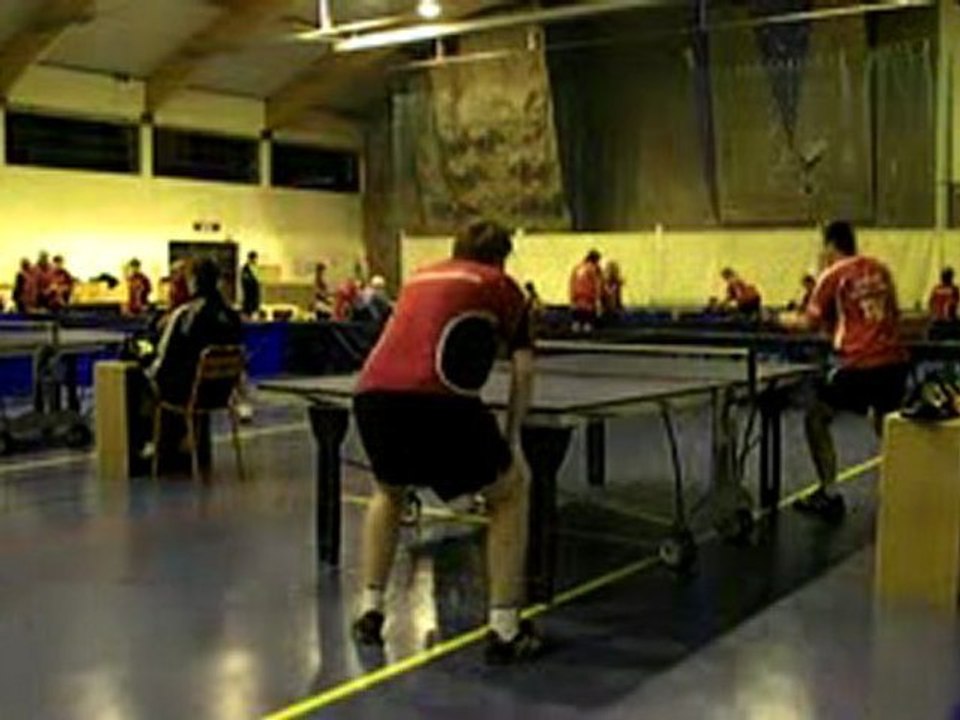 ping moi