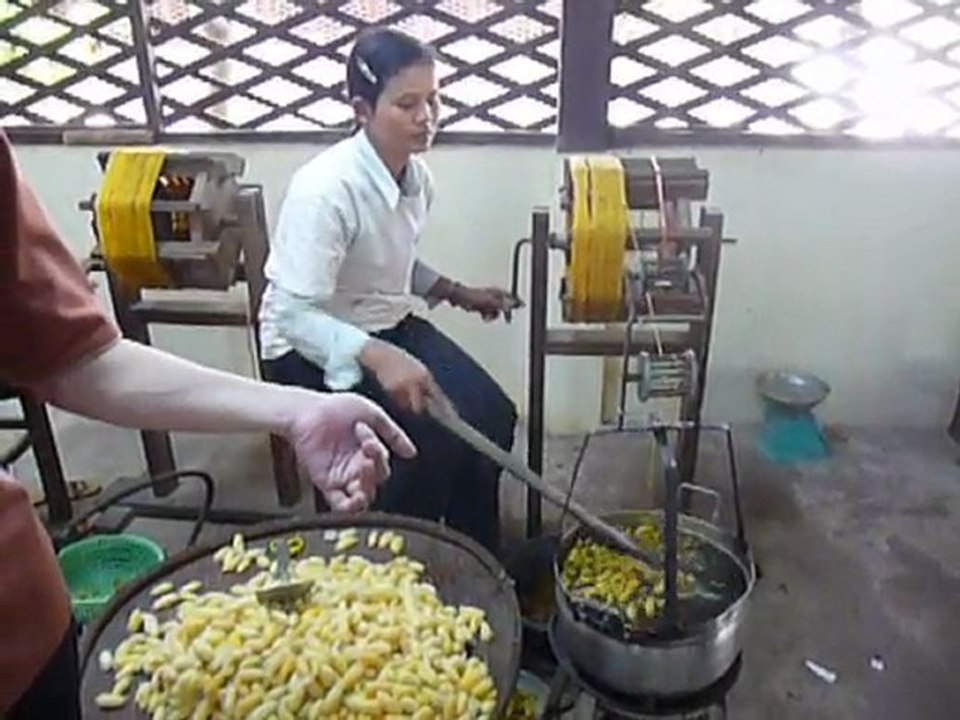 Siem Reap Ferme de la soie Du cocon au fil