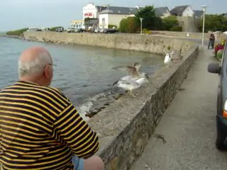 ROSCOFF Septembre 2009