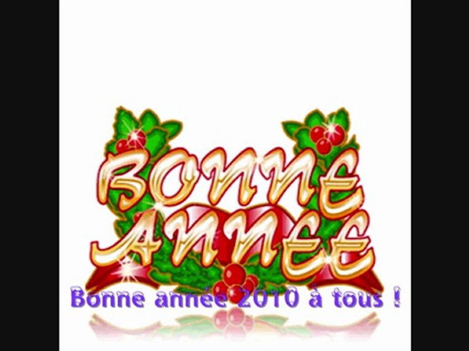 Bonne année 2010 à tous!