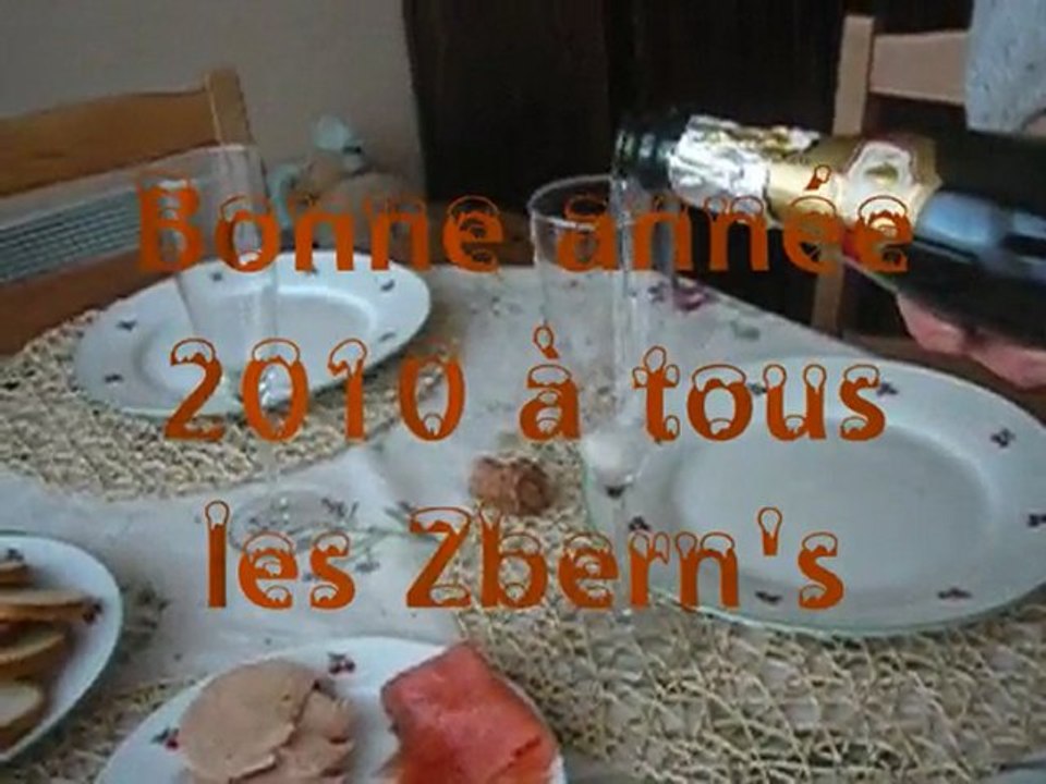 Bonne année 2010 à tous les Zbern's !