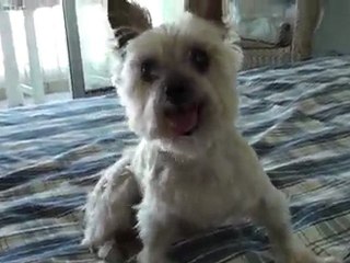 Juste après la douche (2)