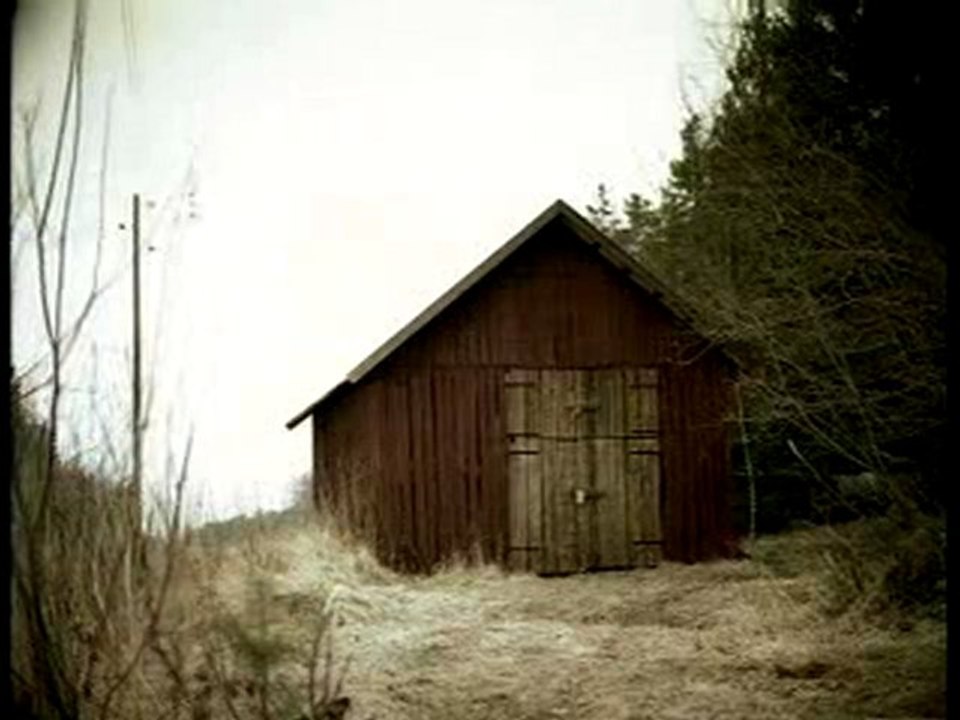 Reklamowaty 016