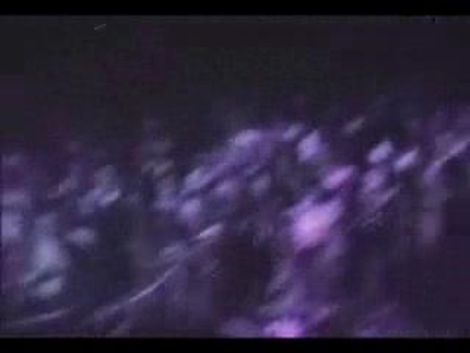 Black vner - Bang - 91