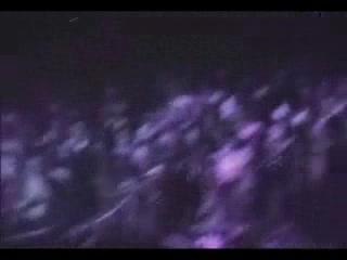 Black vner - Bang - 91