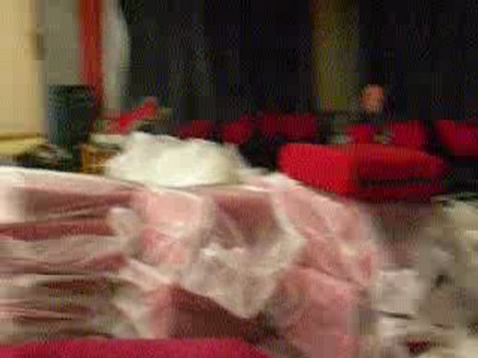 CORSICA MARIGNANA  OTA PORTO PIANA EVISA TEATRU DA SCOPRE