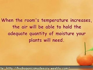 Hydroponics Made Easy