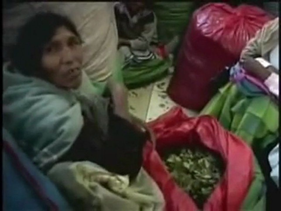 La hoja de coca no es cocaina