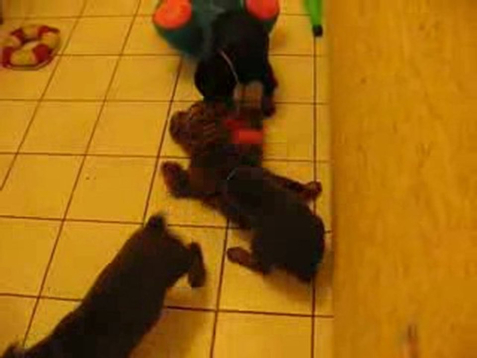 Jeux 1