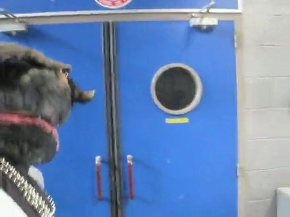 la marionnette prend l'air
