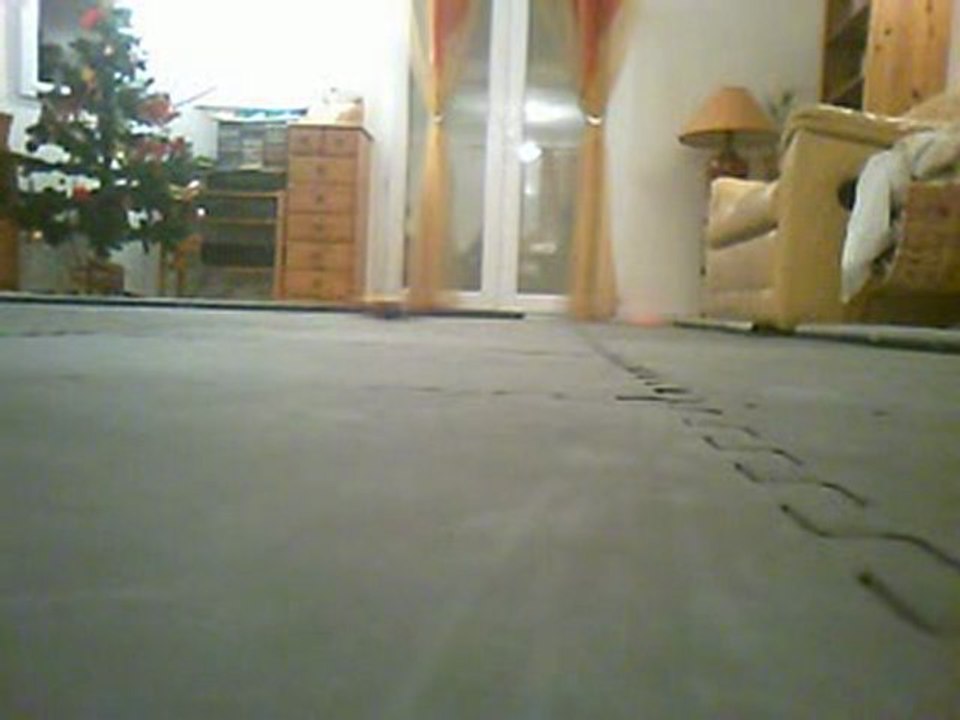 moto112surDalles (12)