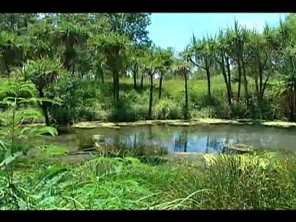 Moorabbin Air Charters