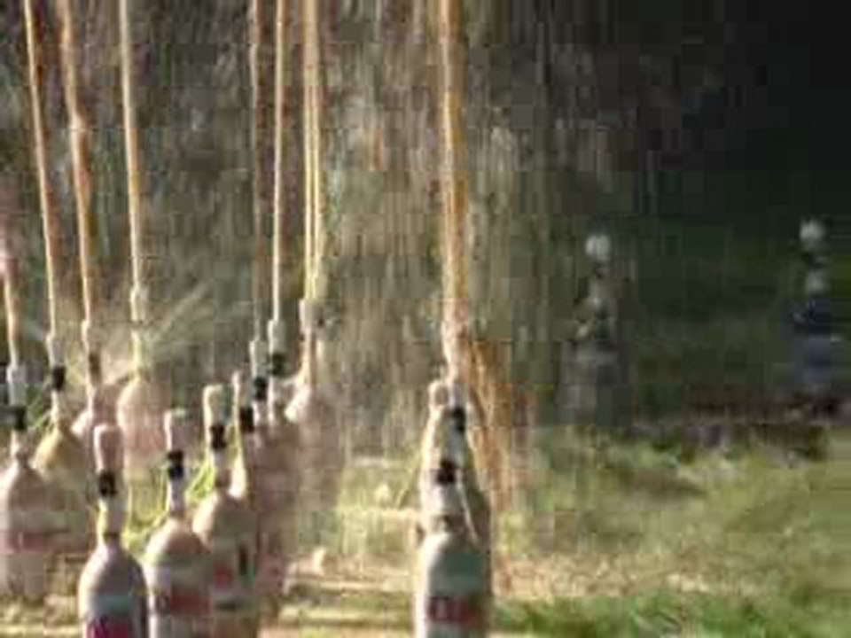 diet-coke-mentos-experiments 2