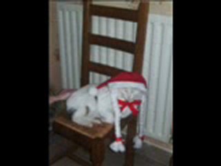 noel de fripouille 2009