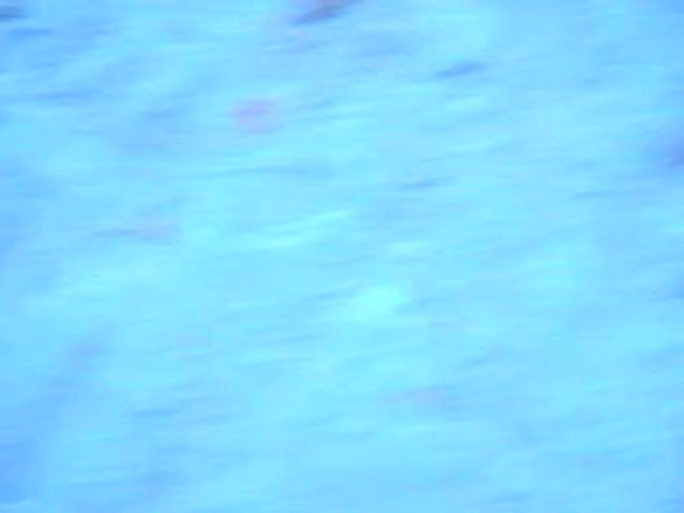 MVI_0263