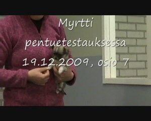 Myrtti 7
