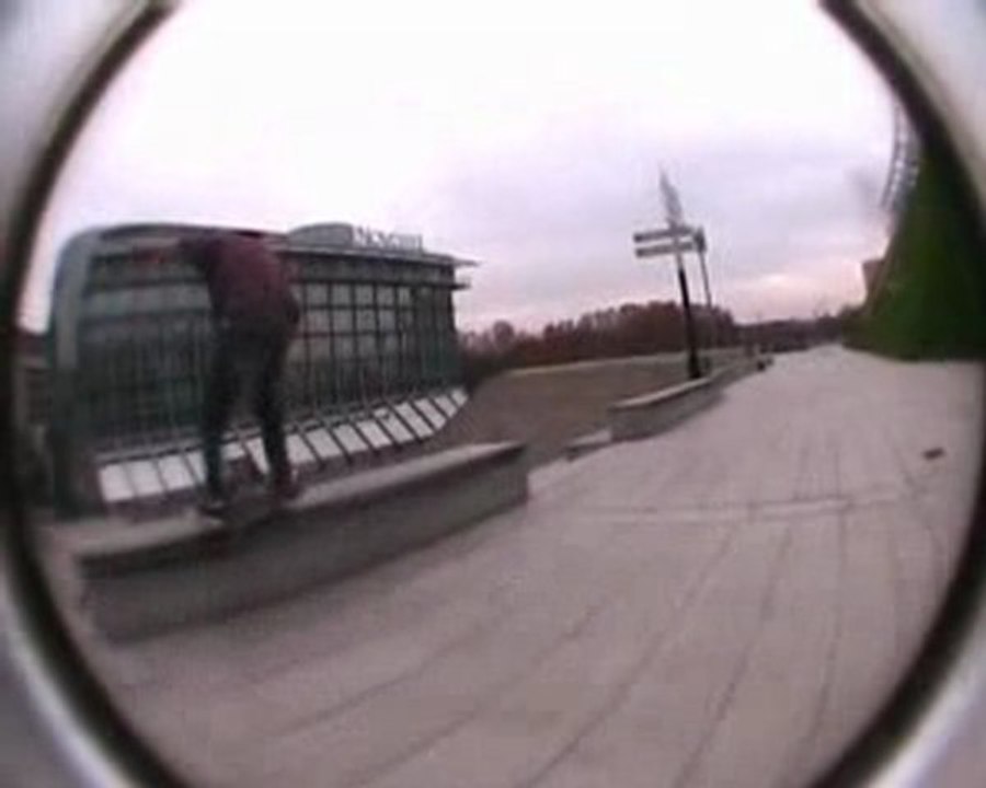 FISH SKATE CREW