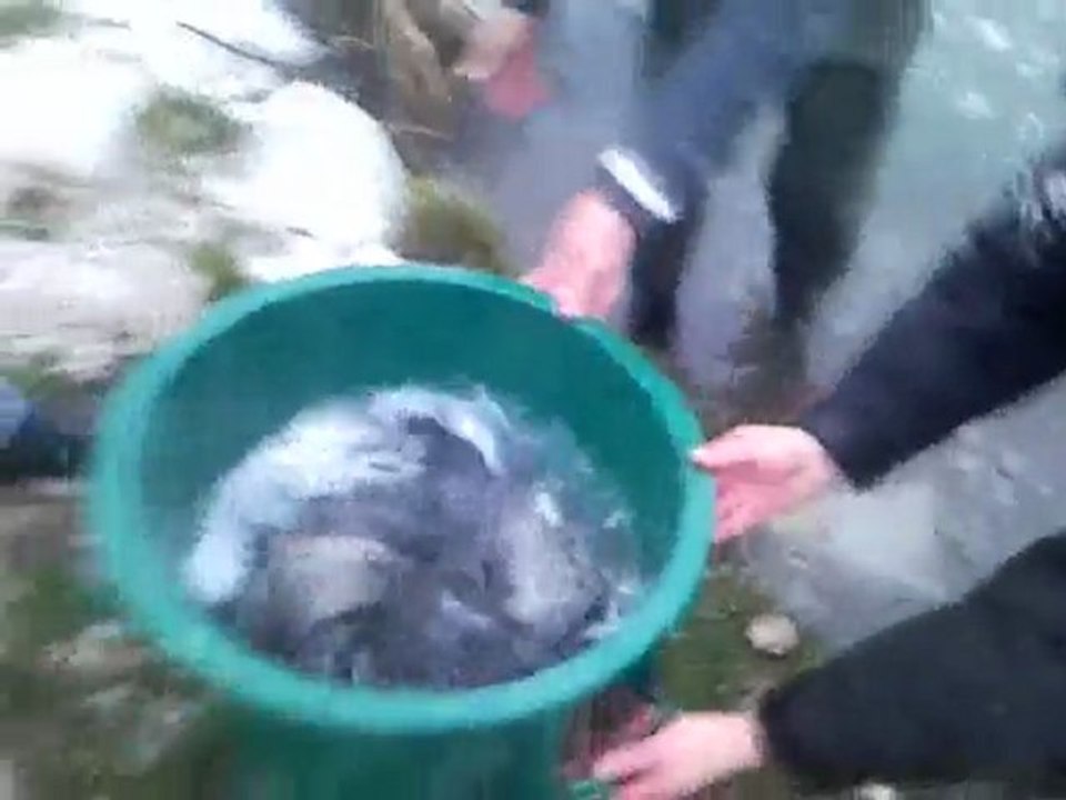 500 kg de poissons