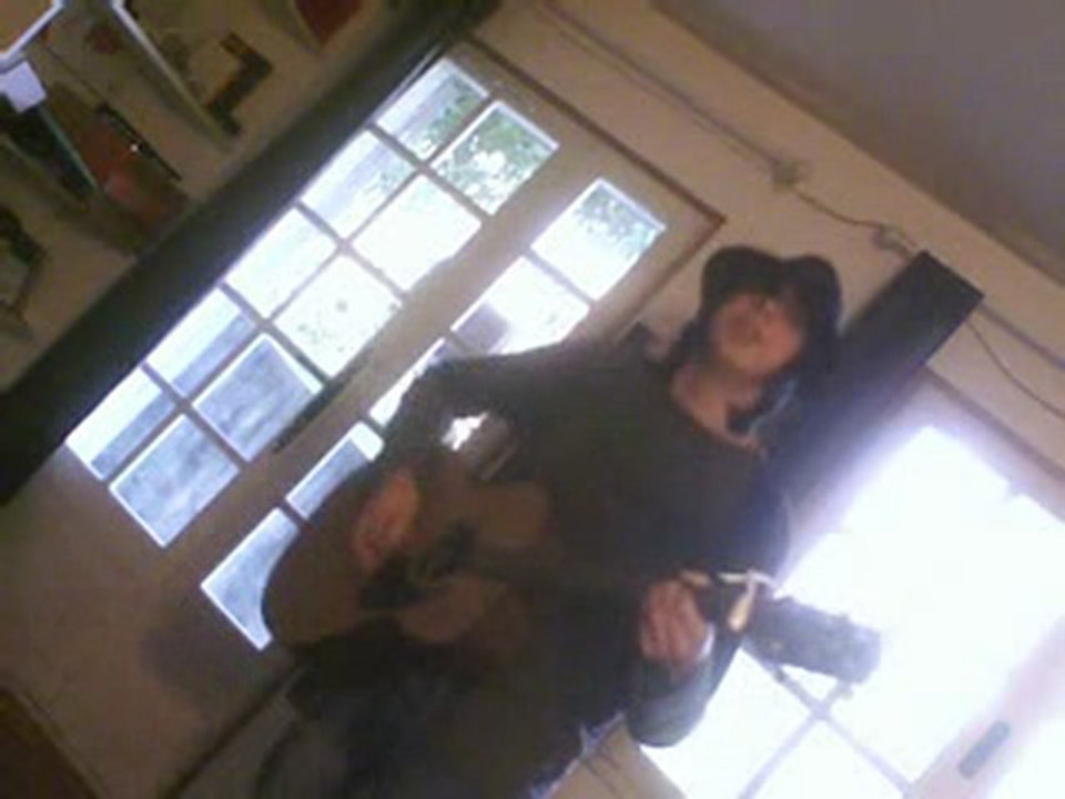 The Strokes - Heart In A Cage (cover)