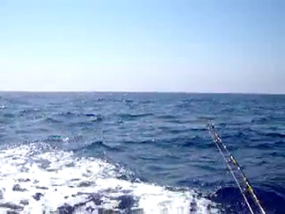 PECHE SPORTIVE MEDITERRANNEE