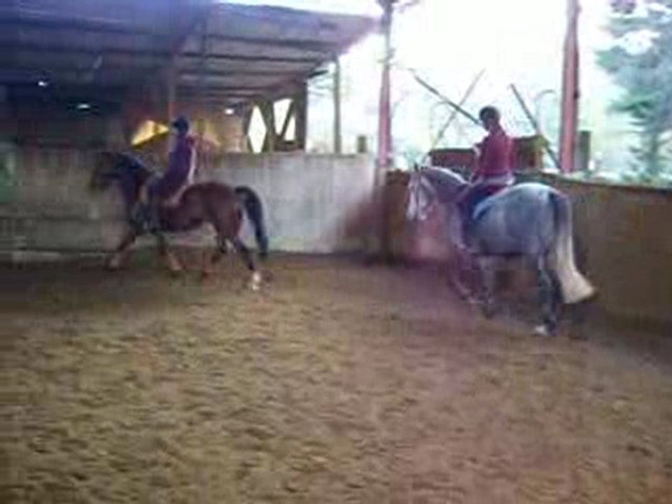 Rosée_martingale 2