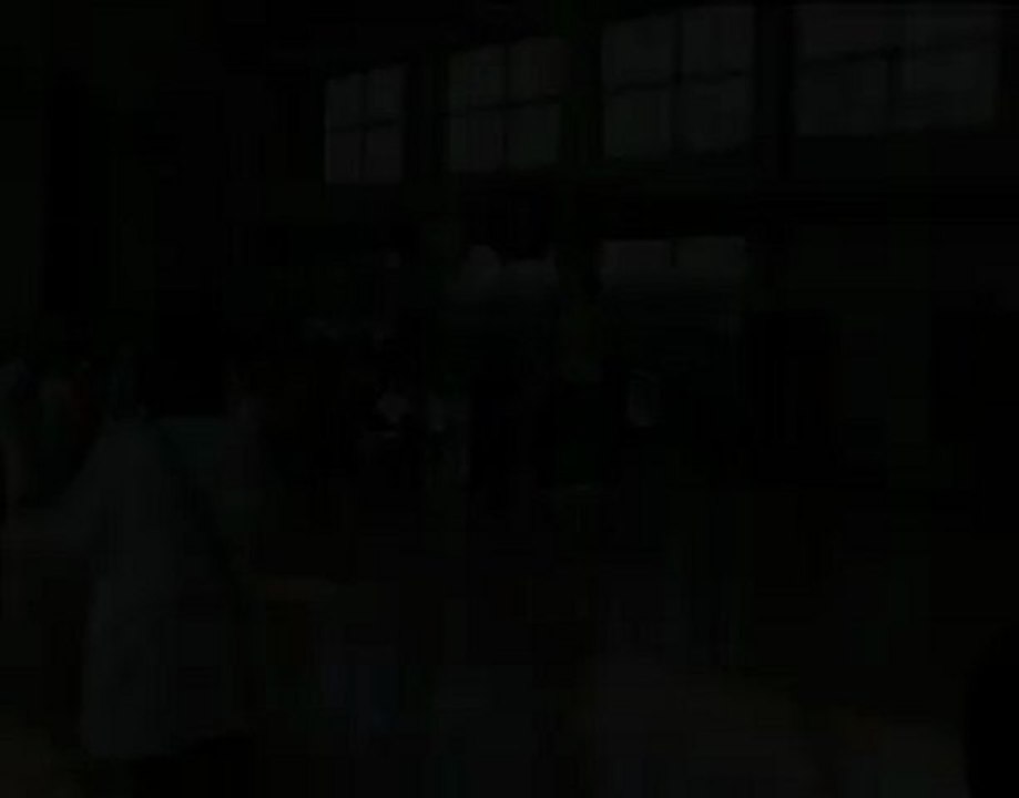 Ecole de Fukuyoshi, Japon