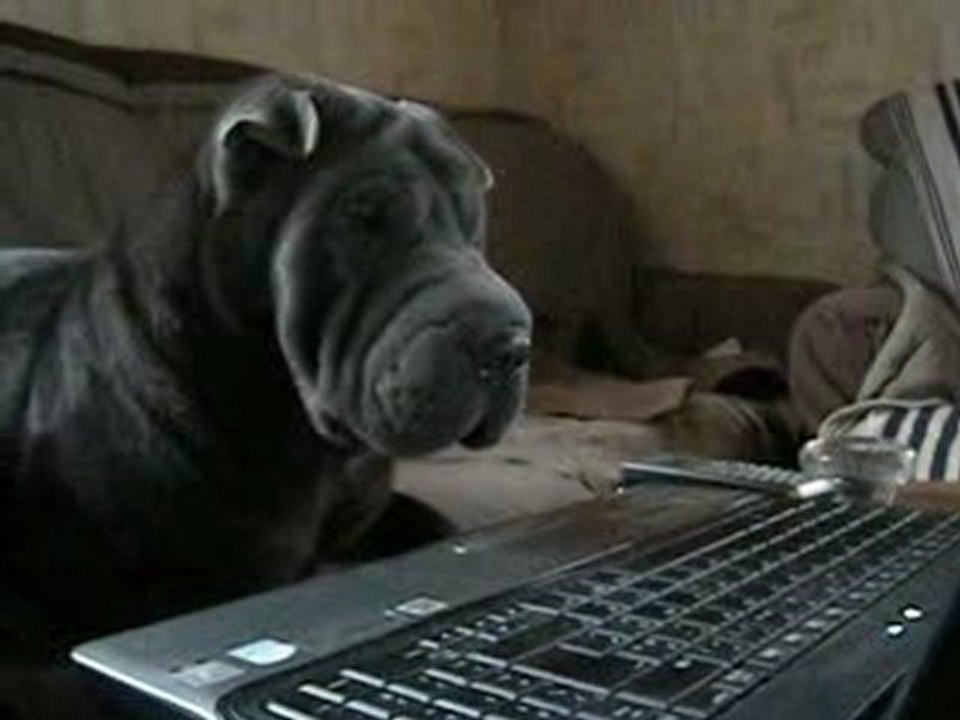 Geek ?