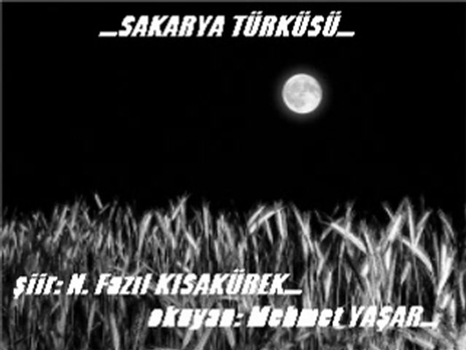SAKARYA TÜRKÜSÜ MEHMET YAŞAR YORUMUYLA