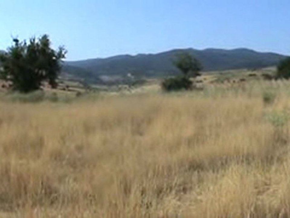 Hallaclar Murat Dagi