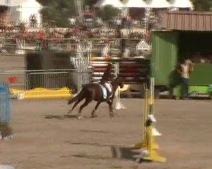 Lamotte beuvron montage