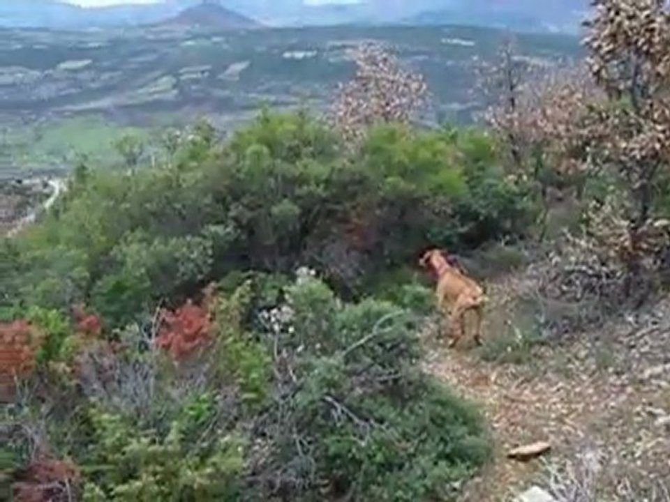 Untitled on Vimeo